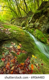 autumn mountain stream