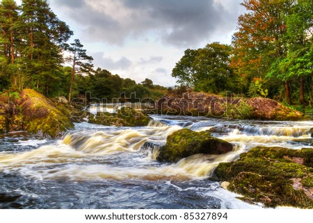 Autumn mountain stream in Killarney National Park, Ireland