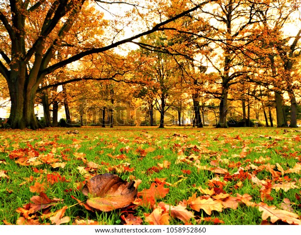 autumn in my heart episodes