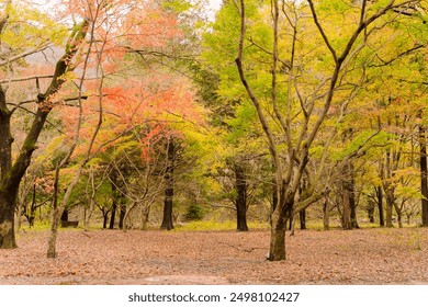  autumn in Naejangsan, Korea, where a traditional Asian architecture nestles amidst a tranquil, picturesque setting surrounded by vibrant autumn foliage. - Powered by Shutterstock