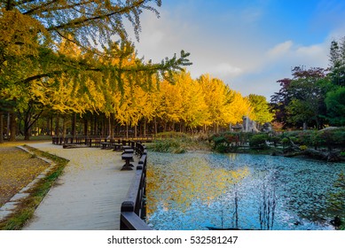 Autumn In Nami Island