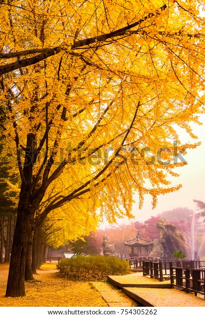 Autumn Nami Island South Korea Stock Photo (Edit Now) 754305262