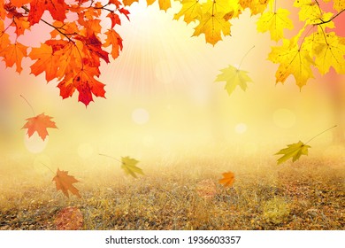 Autumn natural background, design, banner or template. Yellow and red maple leaves are flying and falling down. Autumnal landscape. - Shutterstock ID 1936603357
