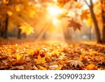 autumn natural bokeh background with maple trees in park with copyspace