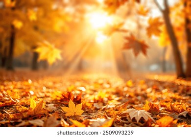 autumn natural bokeh background with maple trees in park with copyspace