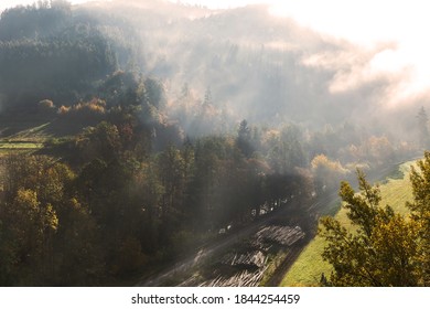 autumn nature background forest in fog. Autumn foggy morning. Rural landscape in the Czech Republic. Sun rays.
