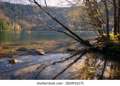 Autumn Nature By The Black Lake, Czech Republic, Bohemian Forest