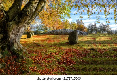 Autumn nature in autumn color. Color of autumn - Shutterstock ID 2172715805