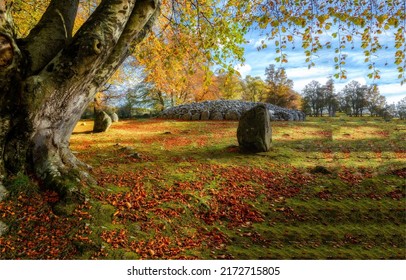 Autumn Nature In Autumn Colors. Autumn Park Nature. Autumnal Background In Autumn Nature Scene