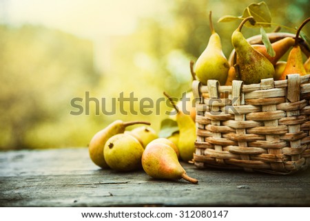 Autumn nature concept. Fall pears on wood. Thanksgiving dinner