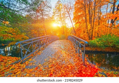Autumn nature landscape. Lake bridge in fall forest. Path way in gold woods. Romantic view image scene. Magic misty sunset pond. Red color tree leaf park. Calm bright light, city sunrise, sunlight sun - Shutterstock ID 2198245029