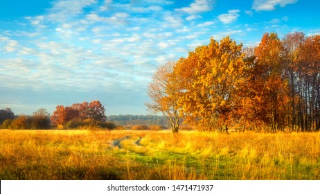 Autumn Nature. October Landscape On Sunny Bright Day. Colorful Trees On Beautiful Meadow In The Morning