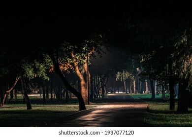 Autumn Night In The City Park 