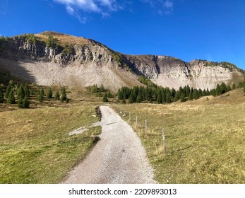 Autumn In Non Valley, Trentino, Italy