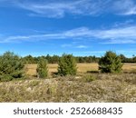 Autumn in northern Ontario. The foliage has begun to change colours against a blue sky with streaked clouds. Rugged terrain provides texture complimented by early October sunshine.