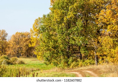 Autumn Oaks. Autumn photography landscape. Autumn, as a talented artist draws his watercolors. A few strokes and the whole world become different - Shutterstock ID 1182607882