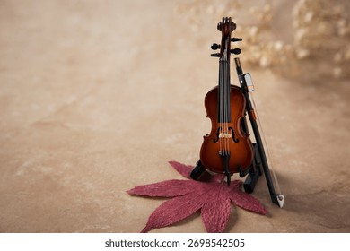 Autumn Objects - maple leafs, coffee, dry flowers, sweet persimmon etc. 098