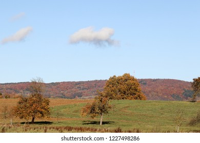 autumn in the Odenwald