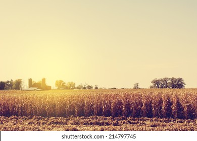 Autumn On American Farm