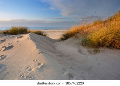 Autumn On The Baltic Sea Coast, Dunes, Grass, Beach, White Sand, Harbor Breakwater, Kolobrzeg, Poland.