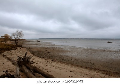 
Autumn On The Big River. Inclement Weather. Old Fallen Trees By The River.