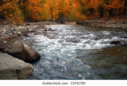 Autumn On The Big Wood River, Idaho