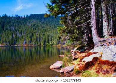 Autumn On The Black Lake In Sumava In The Czech Republic