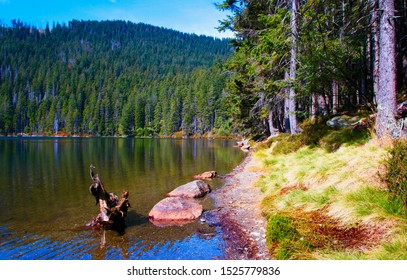 Autumn On The Black Lake In Sumava In The Czech Republic