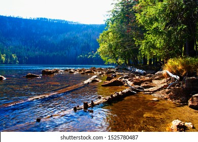 Autumn On The Black Lake In Sumava In The Czech Republic