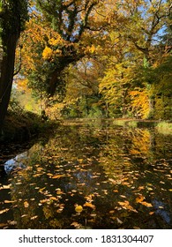 Autumn On The Brecon And Monmouthshire Canal