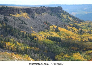 Autumn On The Grand Mesa, Colorado
