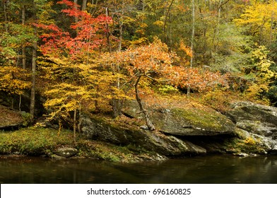 Autumn On Little Pigeon River