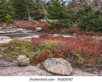 Autumn On Pemetic Mountain, Acadia National Park