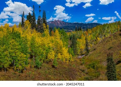 Autumn On Rabbit Ears Pass