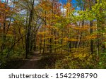 Autumn on the Trail in the Valley