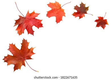 Autumn orange  leaves falling down Isolated on white background - Shutterstock ID 1822671635