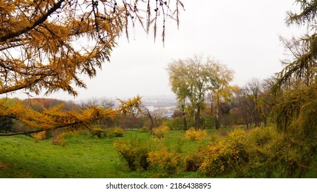 Autumn Panorama In Kyiv Park.