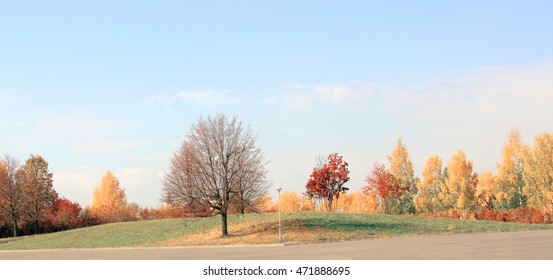 autumn panorama the trees in the Park. tilt shift blur effect - Shutterstock ID 471888695