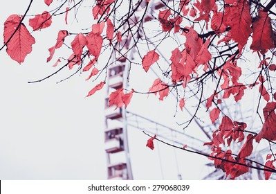 Autumn in Paris. Branches with faded leaves and ferris wheel silhouette at background. Selective focus on the leaves. Toned photo. - Powered by Shutterstock