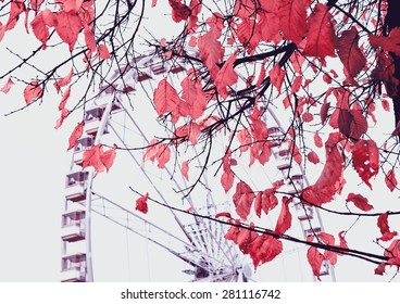 Autumn in Paris. Branches with faded leaves and ferris wheel silhouette at background. Selective focus on the leaves. Toned photo. - Powered by Shutterstock