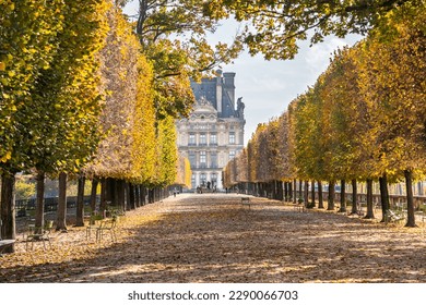 Autumn in Paris in the park near Louvre Museum