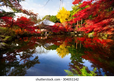 Autumn Park In Daigoji Temple, Kyoto Japan