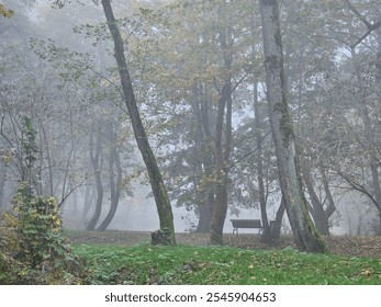 autumn park in fog, fog in the park, autumn in the forest, early morning, sad atmosphere,	 - Powered by Shutterstock