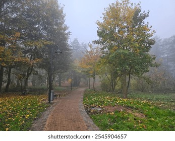 autumn park in fog, fog in the park, autumn in the forest, early morning, sad atmosphere,	 - Powered by Shutterstock