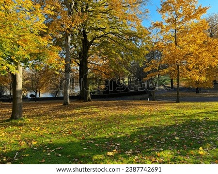 Autumn park landscape, with old trees, fallen leaves, and a distant boating lake in, Lister Park, Bradford, UK