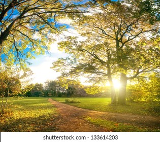 Autumn Park Natural Landscape