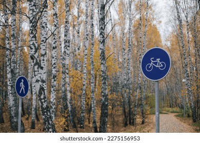 Autumn park with pathwalk for bicyclists to ride on bikes among high trees. Pathway for bicycles covered with yellow leaves among birch trees