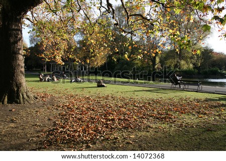 Autumn in the park. Saint Stephen's Green in Dublin, Ireland.