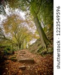                                The Autumn Path