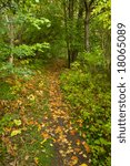 Autumn path
